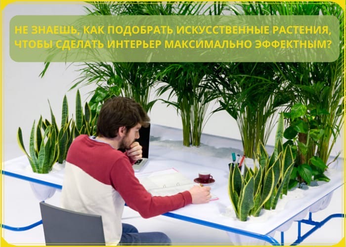 Не знаешь, как подобрать искусственные растения, чтобы сделать интерьер максимально эффектным?